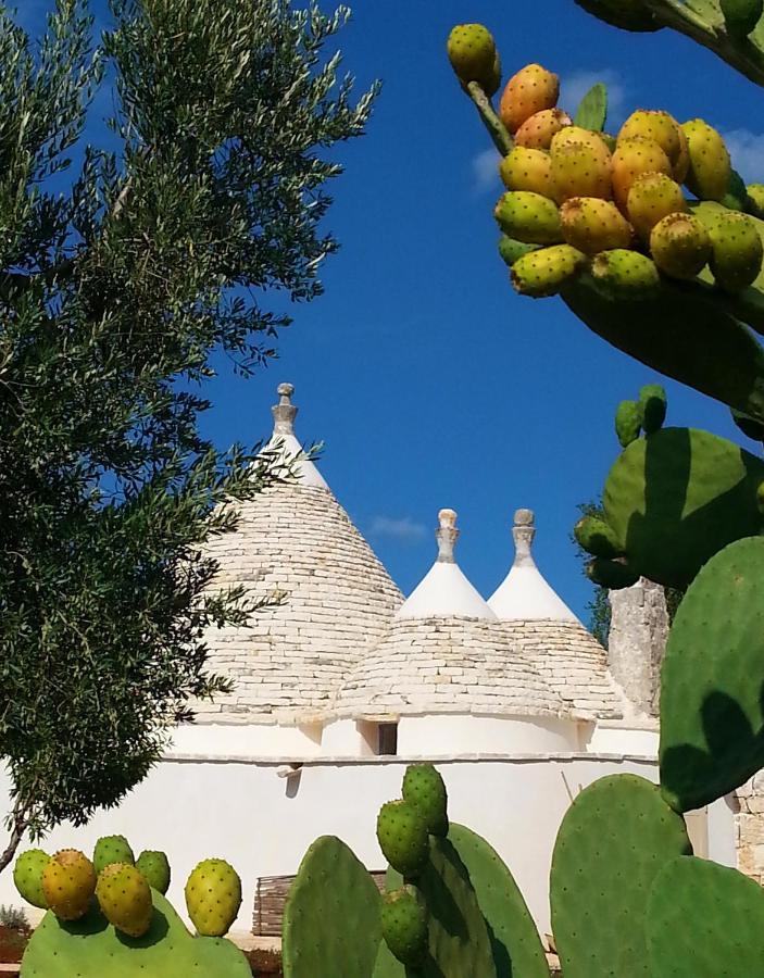 הוילה צ'לייה מספיקה Trulli Il Geco Sognante מראה חיצוני תמונה